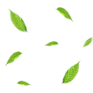 Konya Ahşap Ürünleri